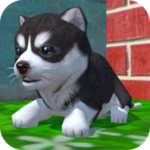 cute pocket puppy 3d android application logo